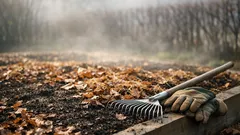 Beete winterfest machen: So schützt du den Boden vor Frost, ohne umzugraben