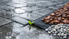 Unkraut auf Wegen im Herbst stoppen: so wirkt mulchen wirklich