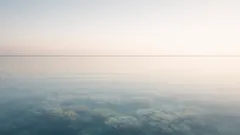 Warum Windstille Korallen bleicht: so gefährlich sind „stille Tage“ über dem Riff