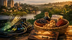 Wie Acre mit Glasfaser und Start-up-Förderung seine Region neu aufstellt