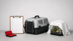 Spaniens Positivliste für Haustiere: was bald erlaubt ist – und warum das auch uns betrifft