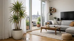 Drachenbaum richtig gießen: So vermeidest du Staunässe und gelbe Blätter